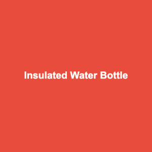 Insulated Water Bottle (500ml, Stainless Steel)