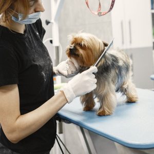 Pet Grooming Glove - Gentle Deshedding Brush for Dogs and Cats