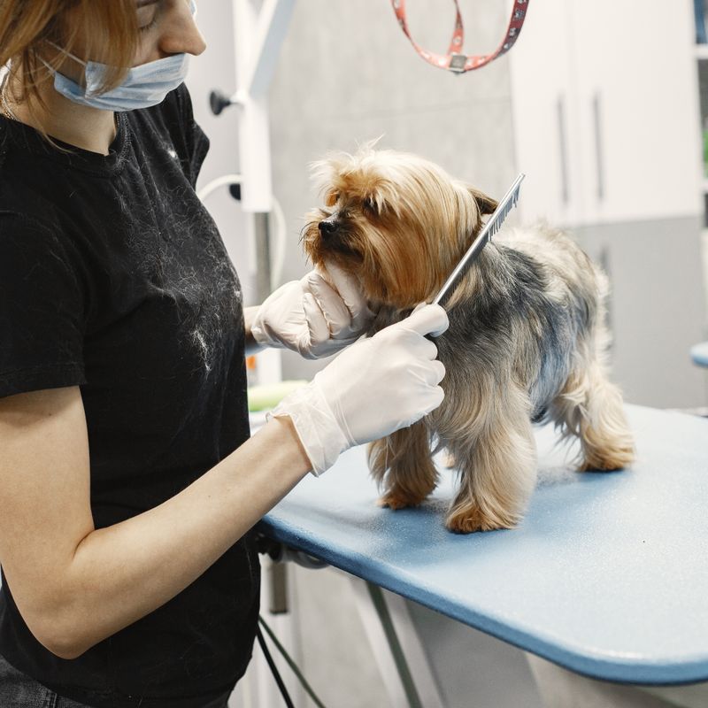 Pet Grooming Glove - Gentle Deshedding Brush for Dogs and Cats