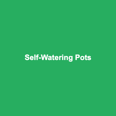 Self-Watering Plant Pots (Set of 4)